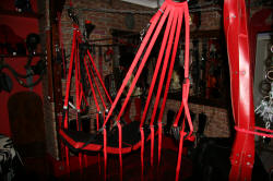 "The hanging restraints were all very much enjoyed..."